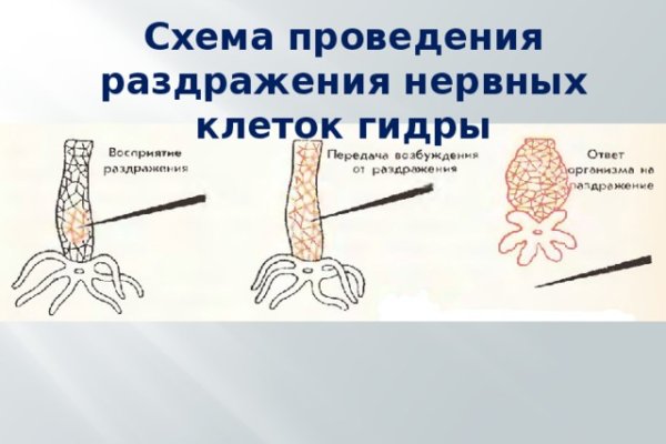 Кракен работает